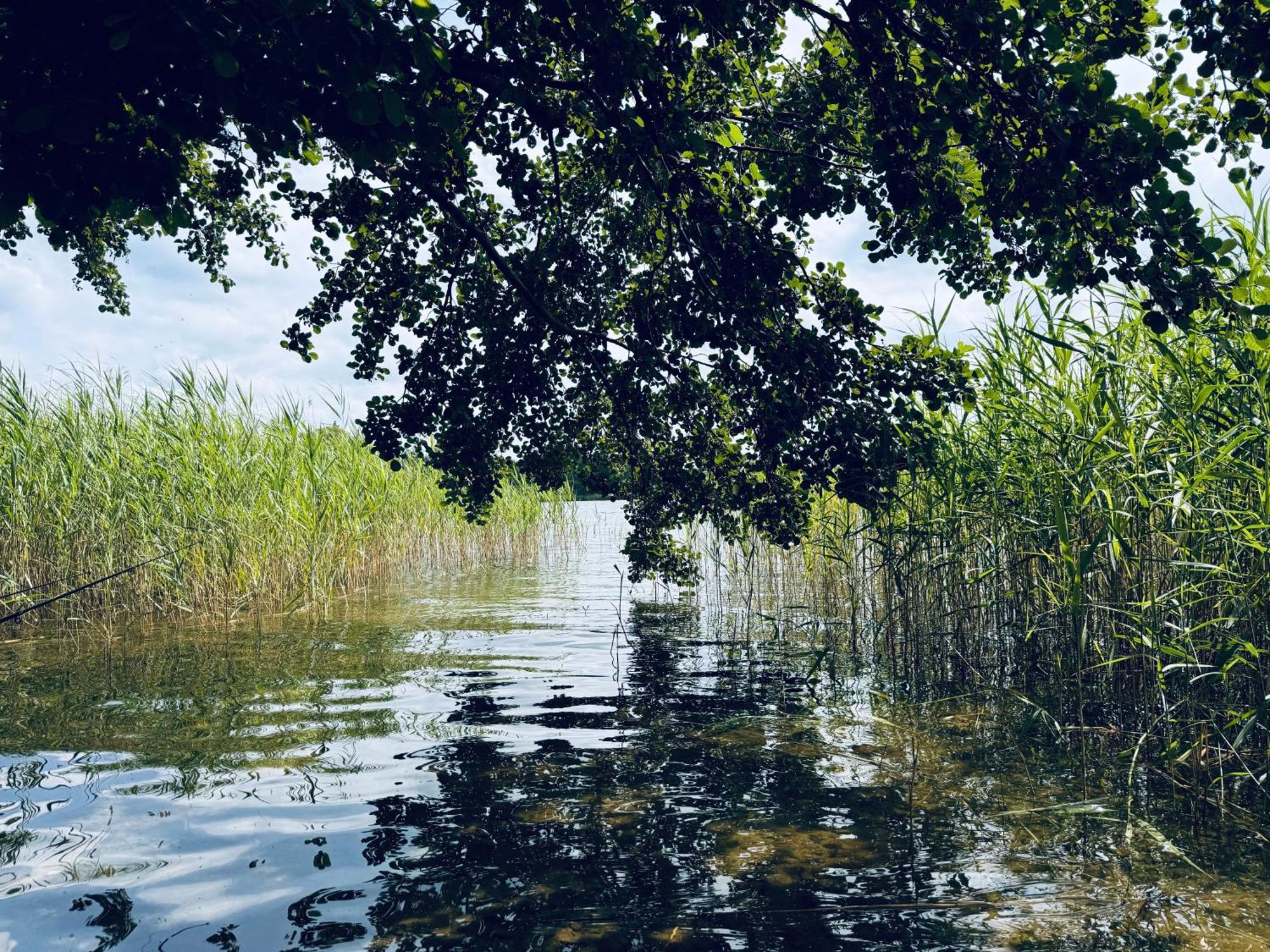 K357 - Ferienwohnung - Moin Moin - Poenitz - Scharbeutz ラーテカウ エクステリア 写真